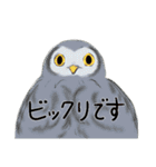 ずっと使える丁寧敬語・鳥(梟とインコ)（個別スタンプ：39）