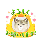 動物(=^・^=)（個別スタンプ：5）