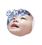 ぴっぴすた（個別スタンプ：12）