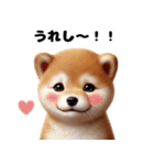 【ずっと使える】毎日まめしば・柴犬（個別スタンプ：1）