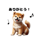 【ずっと使える】毎日まめしば・柴犬（個別スタンプ：3）