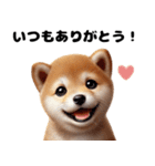 【ずっと使える】毎日まめしば・柴犬（個別スタンプ：4）