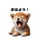 【ずっと使える】毎日まめしば・柴犬（個別スタンプ：6）