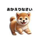 【ずっと使える】毎日まめしば・柴犬（個別スタンプ：10）