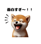 【ずっと使える】毎日まめしば・柴犬（個別スタンプ：11）