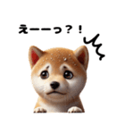 【ずっと使える】毎日まめしば・柴犬（個別スタンプ：12）