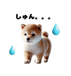 【ずっと使える】毎日まめしば・柴犬（個別スタンプ：13）
