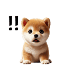 【ずっと使える】毎日まめしば・柴犬（個別スタンプ：14）