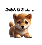 【ずっと使える】毎日まめしば・柴犬（個別スタンプ：16）