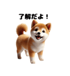 【ずっと使える】毎日まめしば・柴犬（個別スタンプ：18）