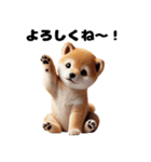 【ずっと使える】毎日まめしば・柴犬（個別スタンプ：19）