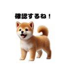 【ずっと使える】毎日まめしば・柴犬（個別スタンプ：21）