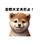【ずっと使える】毎日まめしば・柴犬（個別スタンプ：22）
