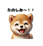 【ずっと使える】毎日まめしば・柴犬（個別スタンプ：25）
