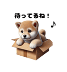 【ずっと使える】毎日まめしば・柴犬（個別スタンプ：30）