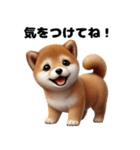 【ずっと使える】毎日まめしば・柴犬（個別スタンプ：31）