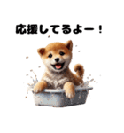【ずっと使える】毎日まめしば・柴犬（個別スタンプ：33）