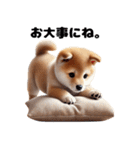 【ずっと使える】毎日まめしば・柴犬（個別スタンプ：35）