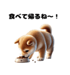 【ずっと使える】毎日まめしば・柴犬（個別スタンプ：38）