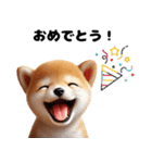 【ずっと使える】毎日まめしば・柴犬（個別スタンプ：39）