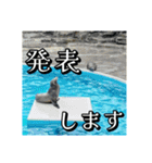 海の生き物,水族館好きの為のスタンプvol.2（個別スタンプ：21）