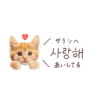 韓国語♡ねこの吹き出しスタンプ（個別スタンプ：4）