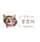 韓国語♡ねこの吹き出しスタンプ（個別スタンプ：6）