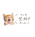 韓国語♡ねこの吹き出しスタンプ（個別スタンプ：13）