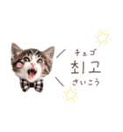 韓国語♡ねこの吹き出しスタンプ（個別スタンプ：18）