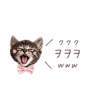 韓国語♡ねこの吹き出しスタンプ（個別スタンプ：19）