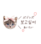 韓国語♡ねこの吹き出しスタンプ（個別スタンプ：20）