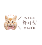 韓国語♡ねこの吹き出しスタンプ（個別スタンプ：26）