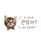 韓国語♡ねこの吹き出しスタンプ（個別スタンプ：27）