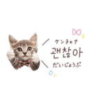 韓国語♡ねこの吹き出しスタンプ（個別スタンプ：28）