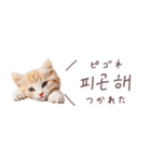 韓国語♡ねこの吹き出しスタンプ（個別スタンプ：30）