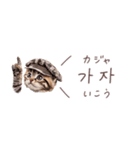 韓国語♡ねこの吹き出しスタンプ（個別スタンプ：32）