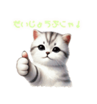 ハッピーにゃんこの日（個別スタンプ：14）