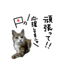 きっと毎日使える！ももちゃんあいさつ（個別スタンプ：4）