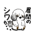 B＆W シーズー犬 『思わず本音がでちゃう』（個別スタンプ：3）