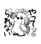 B＆W シーズー犬 『思わず本音がでちゃう』（個別スタンプ：4）