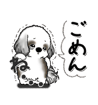 B＆W シーズー犬 『思わず本音がでちゃう』（個別スタンプ：31）