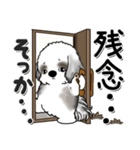 B＆W シーズー犬 『思わず本音がでちゃう』（個別スタンプ：32）