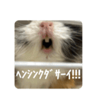 6もるもる（個別スタンプ：2）