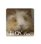 6もるもる（個別スタンプ：5）