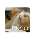 6もるもる（個別スタンプ：7）