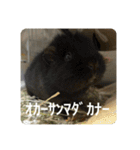 6もるもる（個別スタンプ：9）