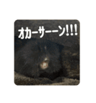 6もるもる（個別スタンプ：10）