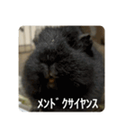 6もるもる（個別スタンプ：11）