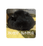 6もるもる（個別スタンプ：12）