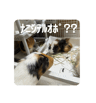 6もるもる（個別スタンプ：14）